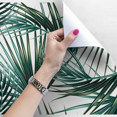 Papier peint Feuilles de palmier vert paradisiaque